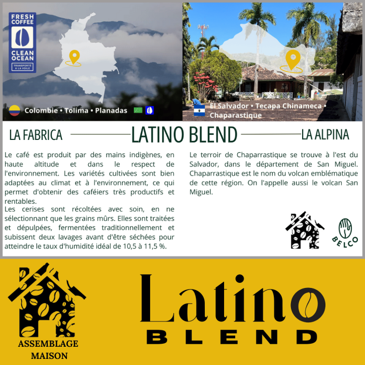 Latino Blend - Grain - Arabica - Amérique Latine