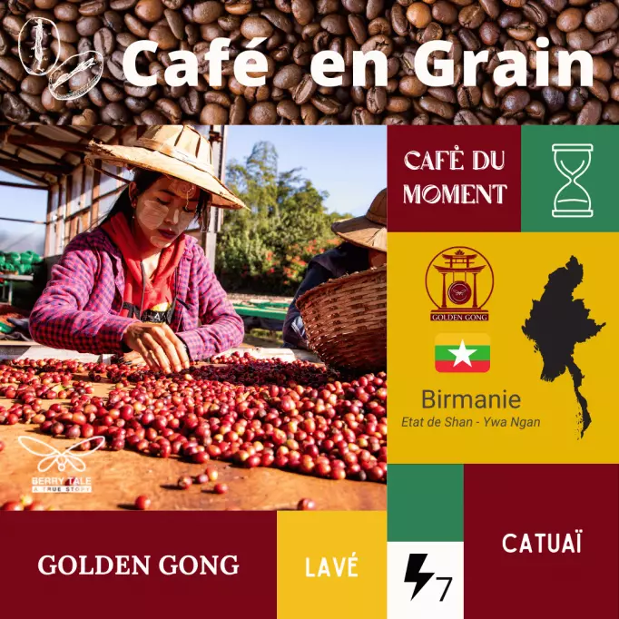 Café-du-Moment-en-Grain-GoldenGong-Birmanie