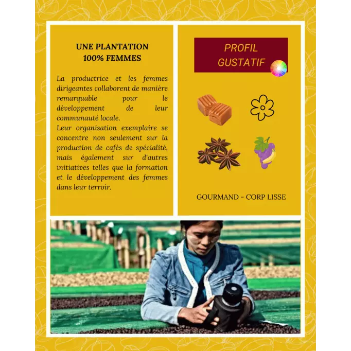 Café-du-Moment-en-Grain-GoldenGong-Birmanie