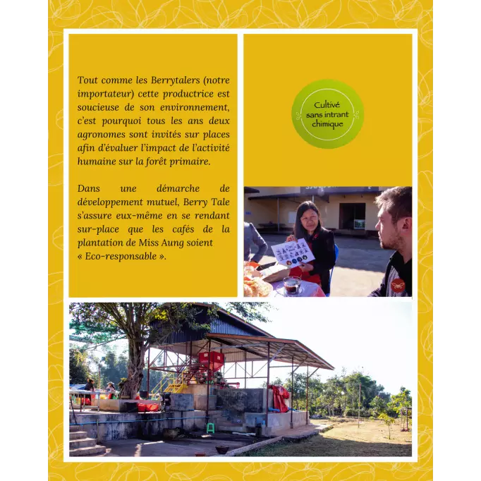 Café-du-Moment-en-Grain-GoldenGong-Birmanie