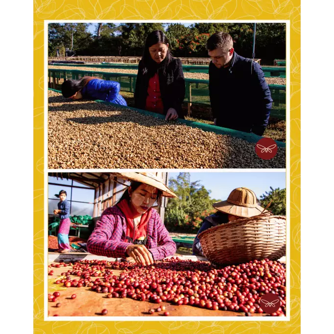 Café-du-Moment-moulu-GoldenGong-Birmanie