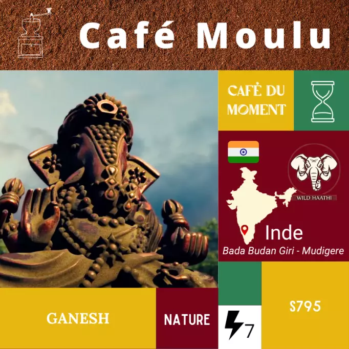 Café du Moment Ganesh Inde Moulu