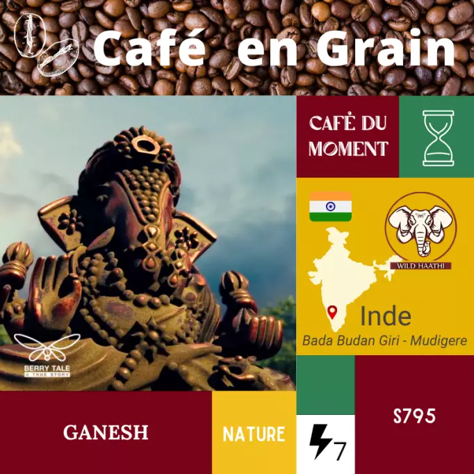 Café du Moment Inde Ganesh En Grain