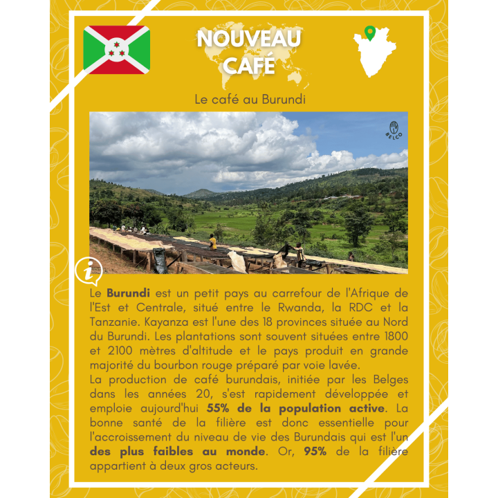 Café en grain Burundi - Shikankoni