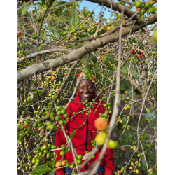 Café moulu Burundi - Shikankoni