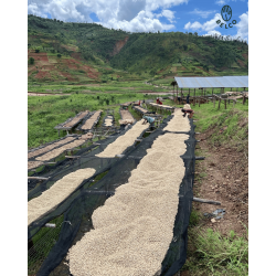 Café moulu Burundi - Shikankoni