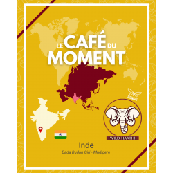 Café du Moment Inde Ganesh En Grain