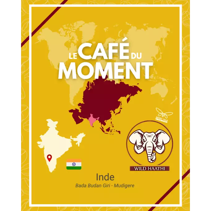 Café du Moment Ganesh Inde Moulu