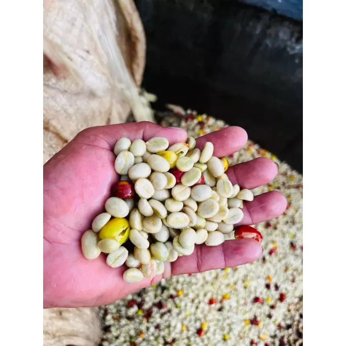 Reserva 1920 - Mexique - Café des fêtes - Café en grain