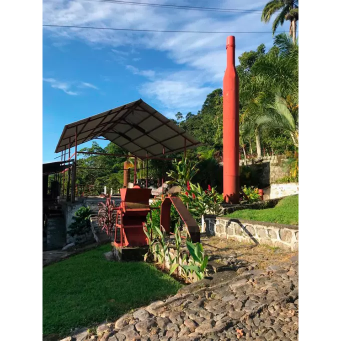Xochipilli | Café en grain - Mexique - Chiapas
