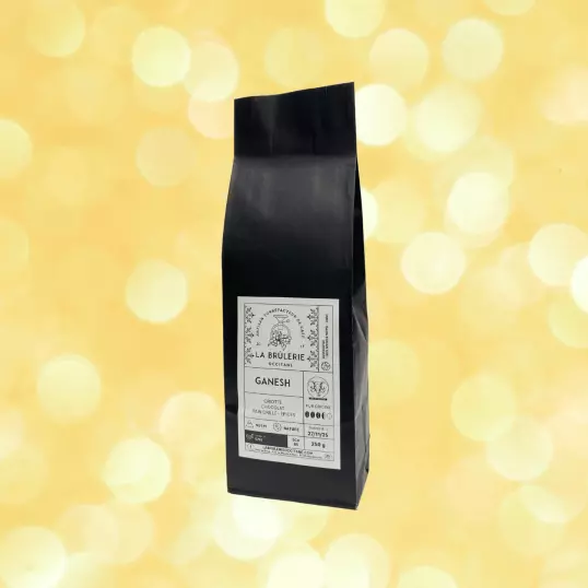 café des fêtes ganesh inde