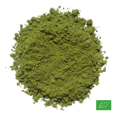 Matcha bio, cru d'exception du Japon par George Cannon