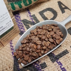 Café en grain - Titus - Rwanda