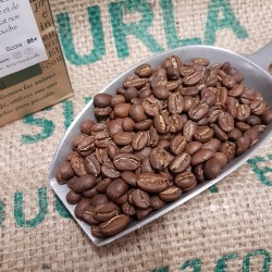Ethiopie - Sidamo - Heirloom - Café en grain