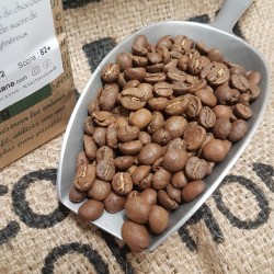 Honduras - Copán - café en grain