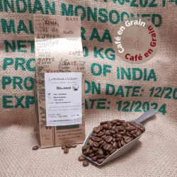 Inde – Malabar - Karnataka  - Café en grain