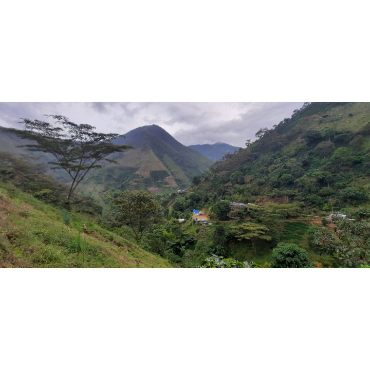 Photo Belco Colombie 2 Photo Belco Colombie 2