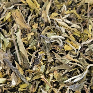 Bai Mu DAn