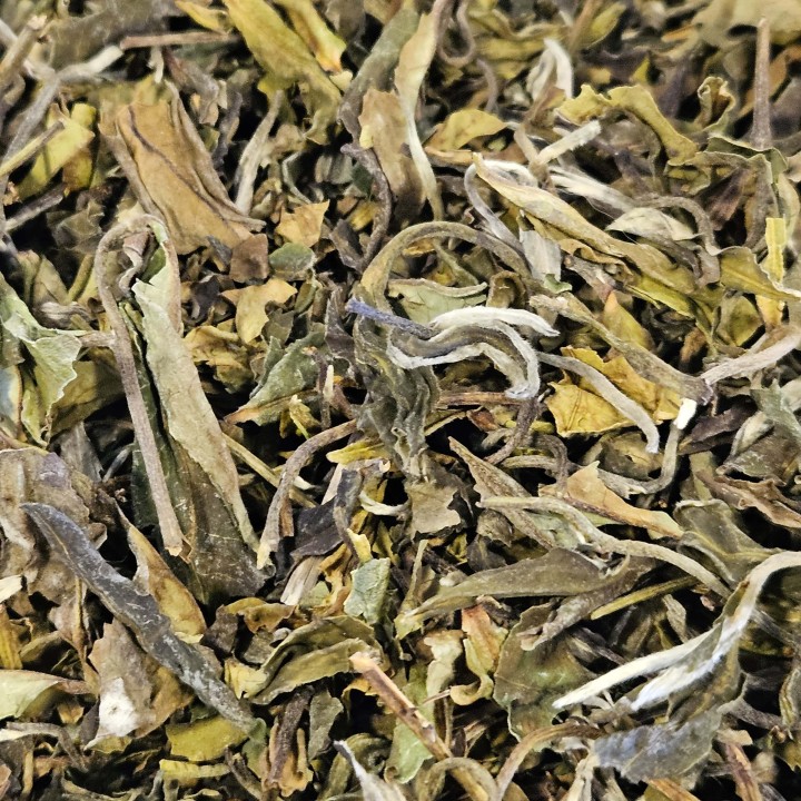 Bai Mu DAn